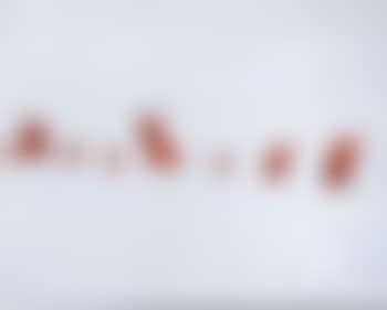 Untitled 1 (preview)
