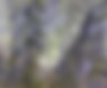 St Remy (preview)