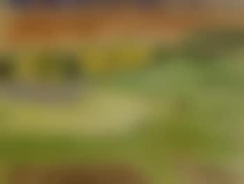 Summer landscape (preview)