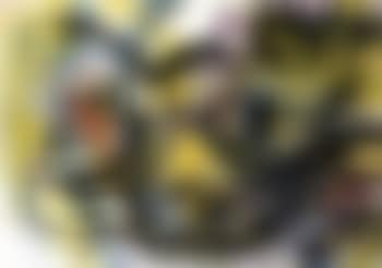 Untitled (preview)