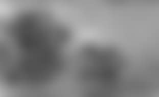 River landscape (preview)