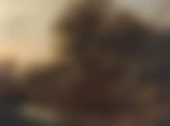 Wooded landscapes (preview)