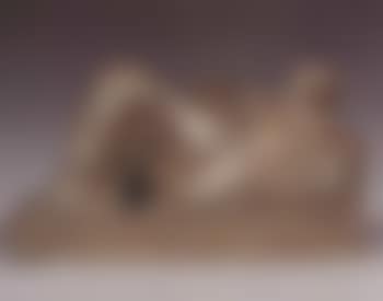Reclining figure (preview)