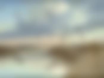 Mallard alighting, Horsey Norfolk (preview)