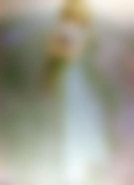 Girl holding bouquet (preview)