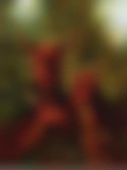 Mother doe with her fawns (preview)
