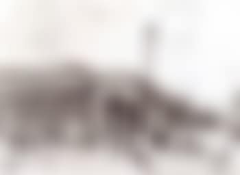 North Shields railway station (preview)