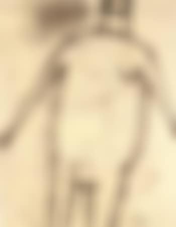 Standing nude (preview)