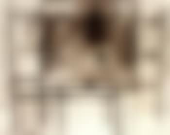 Untitled - table still life (preview)