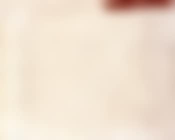 Whites and sienna 1962 (preview)