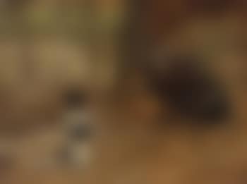 An appeal to the benevolent (preview)