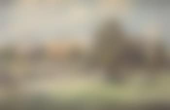 Strolling in the park with view of Rome (preview)