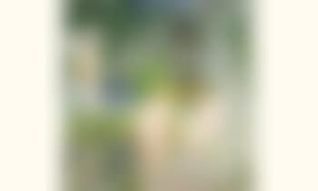 Le bain (preview)