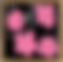 Andy Warhol, four flowers 1964 (preview)
