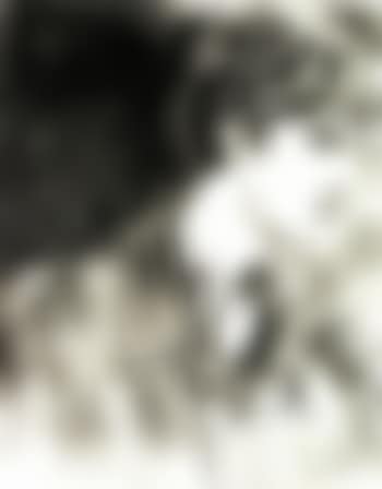 Noel Gallagher (preview)
