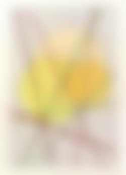 Tangenti 10 (preview)