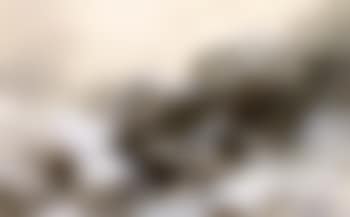 Raging stream (preview)