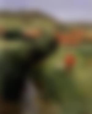 Fisherman by stream (preview)