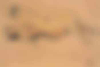 Two reclining nudes (preview)