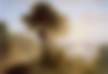 Landscape with buildings on hill (preview)