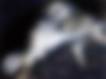 Two figures with black hair (preview)