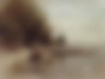 Lake scene with moored rowing boats (preview)