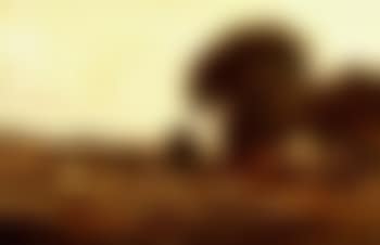 Harvesters in a field (preview)