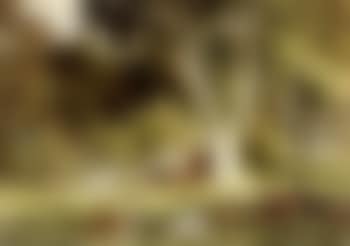 Landscapes with cattle, deer (preview)