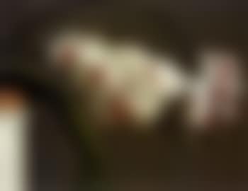 Orchids (preview)