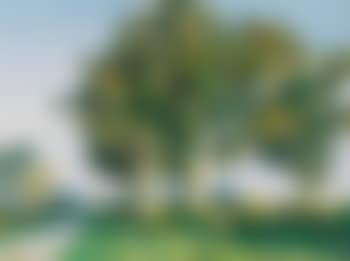 Trees in the landscape (preview)