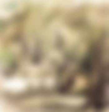 Dans le parc (preview)