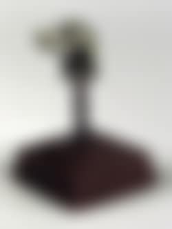Tete de chien (preview)