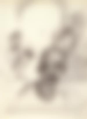 Personnages (preview)