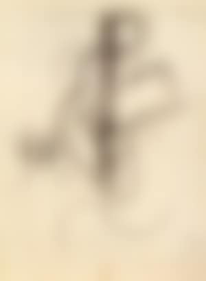 Promeneur (preview)