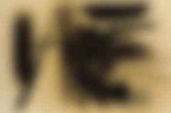 Composition (preview)