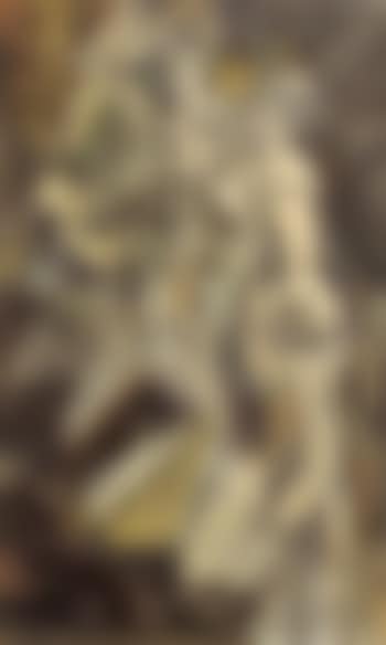 Nu descendant un escalier (preview)