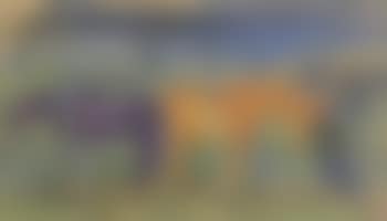 Chevaux en Mongolie (preview)