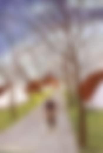 Village path (preview)