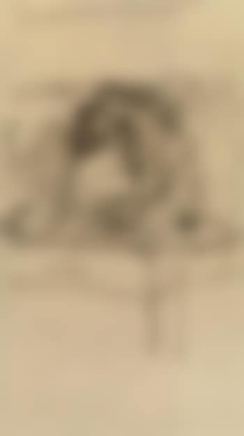 Vase de fleurs (preview)