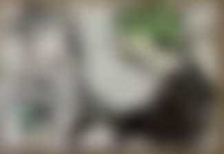 Le peintre et le bouquet (preview)