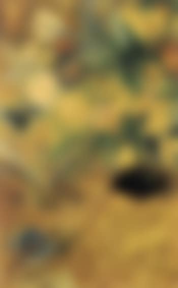 Still life (preview)