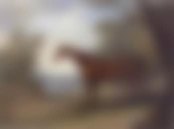 Penelope, chestnut mare (preview)