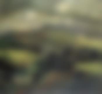 Tjibogo landscape (preview)