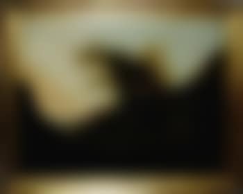 Panoramic landscape (preview)
