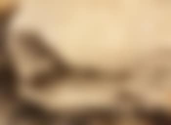 Landscape (preview)