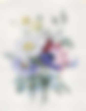 Bouquet de pivoines (preview)