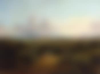 South American landscape (preview)