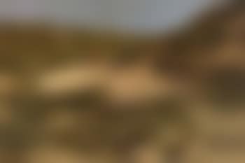 Country path in summer with a peasant woman (preview)