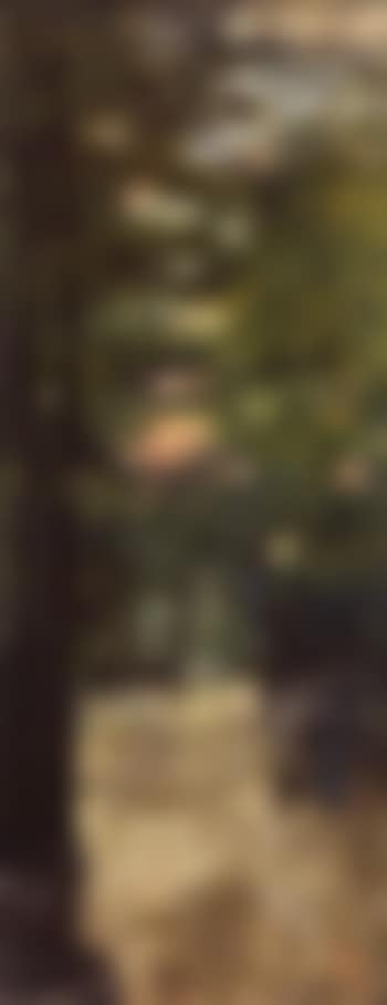 Man seated on a bench in Bois de Boulogne (preview)