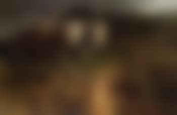 Two oxen on the edge of a stream (preview)